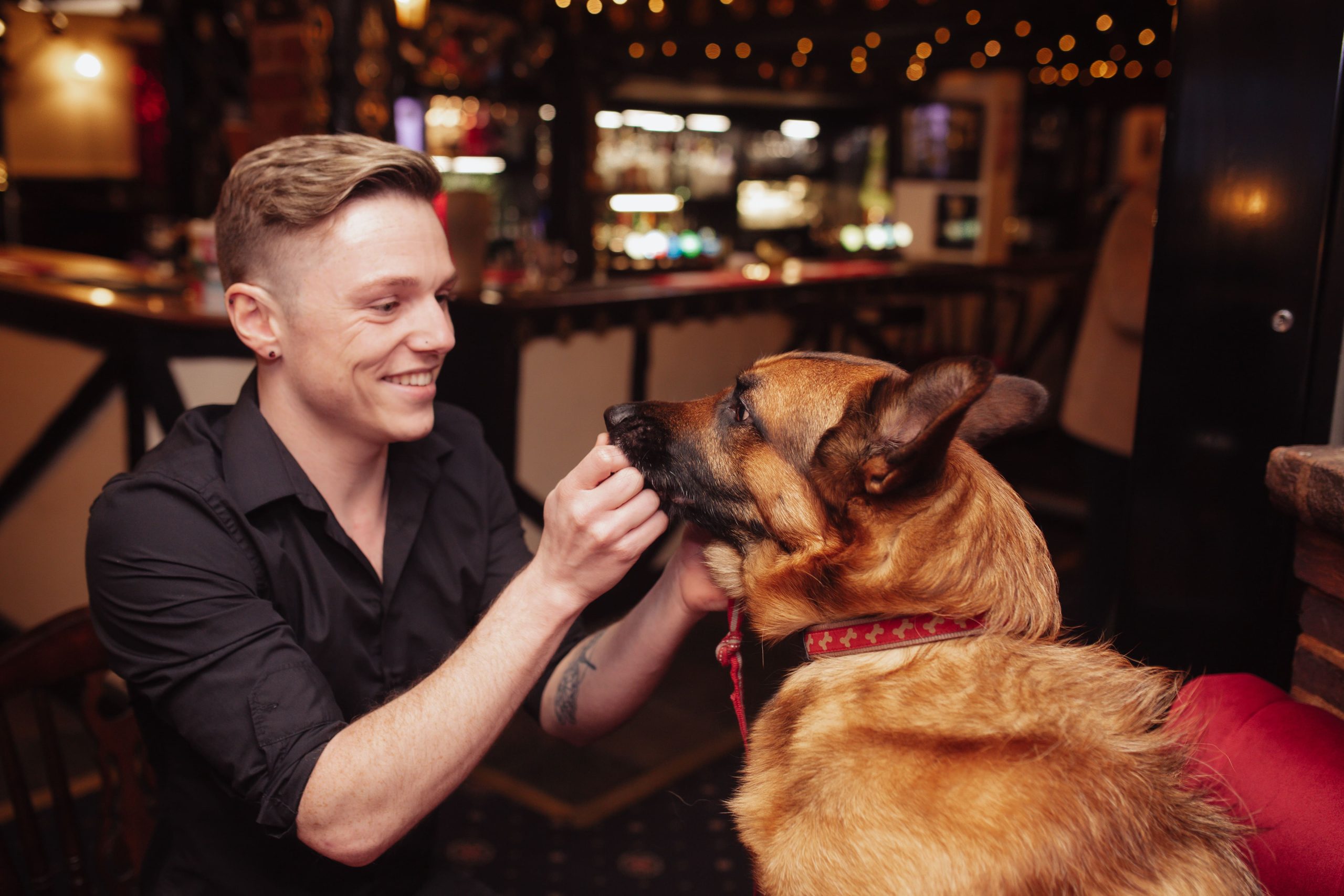 Genuinely Dog-Friendly